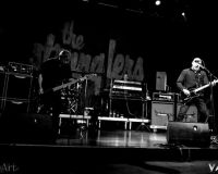 The Stranglers